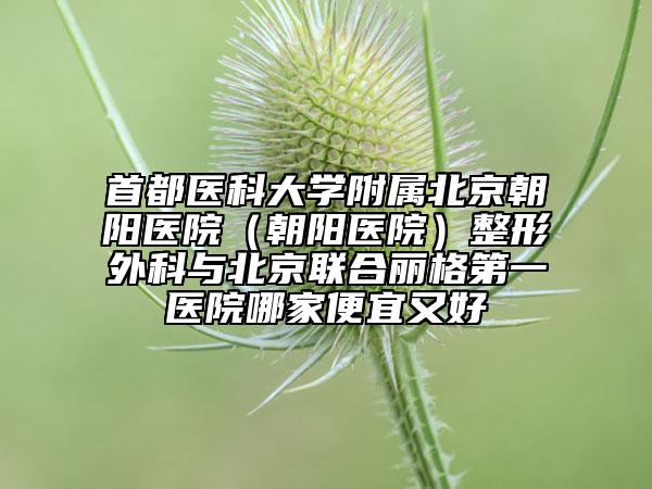 首都醫(yī)科大學附屬北京朝陽醫(yī)院（朝陽醫(yī)院）整形外科與北京聯(lián)合麗格第一醫(yī)院哪家便宜又好
