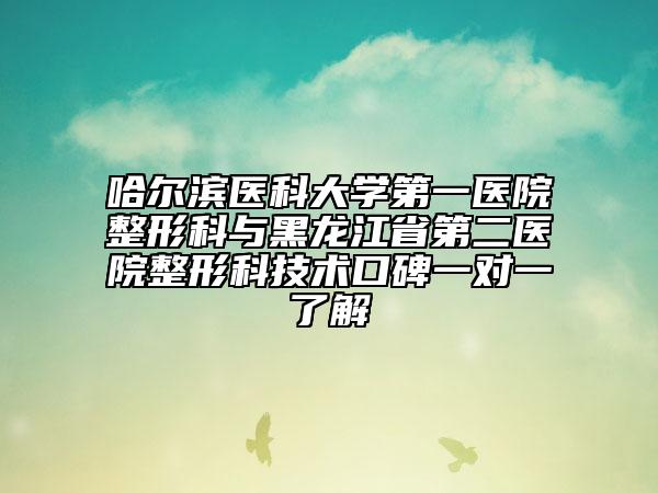 哈爾濱醫(yī)科大學(xué)第一醫(yī)院整形科與黑龍江省第二醫(yī)院整形科技術(shù)口碑一對一了解