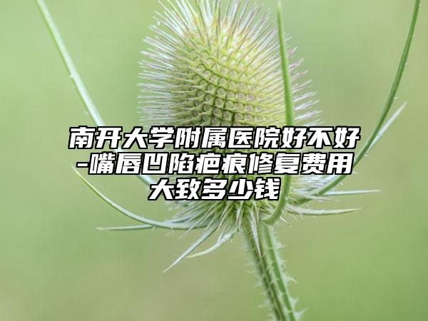 南開大學(xué)附屬醫(yī)院好不好-嘴唇凹陷疤痕修復(fù)費(fèi)用大致多少錢