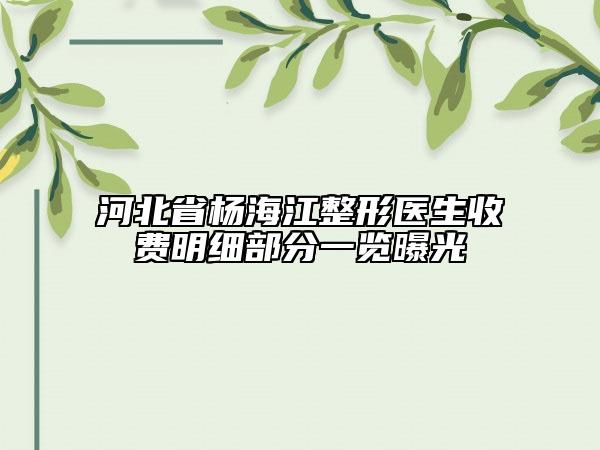 河北省楊海江整形醫(yī)生收費(fèi)明細(xì)部分一覽曝光