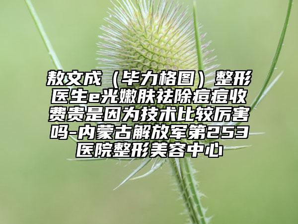 敖文成（畢力格圖）整形醫(yī)生e光嫩膚祛除痘痘收費(fèi)貴是因?yàn)榧夹g(shù)比較厲害嗎-內(nèi)蒙古解放軍第253醫(yī)院整形美容中心