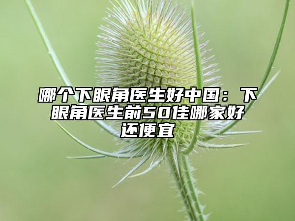 哪個(gè)下眼角醫(yī)生好中國(guó)：下眼角醫(yī)生前50佳哪家好還便宜