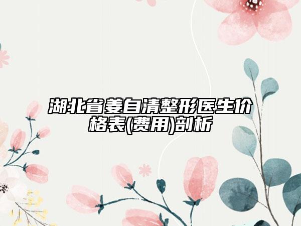 湖北省姜自清整形醫(yī)生價格表(費用)剖析
