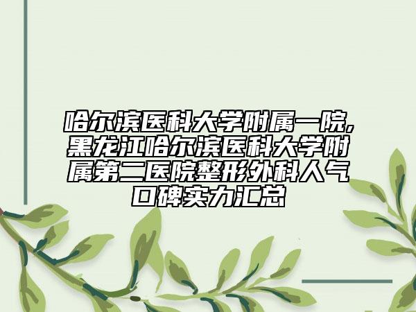 哈爾濱醫(yī)科大學(xué)附屬一院,黑龍江哈爾濱醫(yī)科大學(xué)附屬第二醫(yī)院整形外科人氣口碑實力匯總