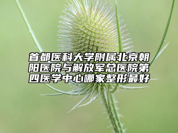 首都醫(yī)科大學(xué)附屬北京朝陽醫(yī)院與解放軍總醫(yī)院第四醫(yī)學(xué)中心哪家整形最好