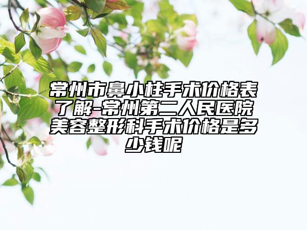 常州市鼻小柱手術(shù)價格表了解-常州第二人民醫(yī)院美容整形科手術(shù)價格是多少錢呢