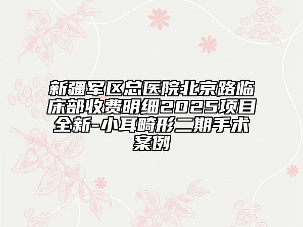 新疆軍區(qū)總醫(yī)院北京路臨床部收費(fèi)明細(xì)2025項(xiàng)目全新-小耳畸形二期手術(shù)案例