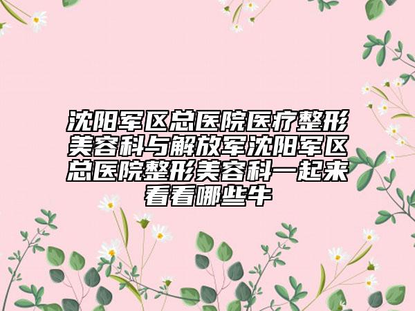 沈陽軍區(qū)總醫(yī)院醫(yī)療整形美容科與解放軍沈陽軍區(qū)總醫(yī)院整形美容科一起來看看哪些牛
