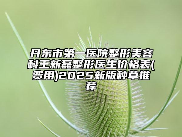 丹東市第一醫(yī)院整形美容科王新磊整形醫(yī)生價(jià)格表(費(fèi)用)2025新版種草推薦