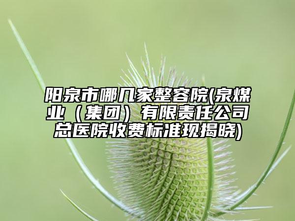 陽泉市哪幾家整容院(泉煤業(yè)（集團）有限責任公司總醫(yī)院收費標準現(xiàn)揭曉)