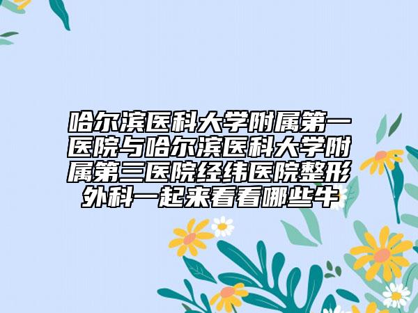 哈爾濱醫(yī)科大學(xué)附屬第一醫(yī)院與哈爾濱醫(yī)科大學(xué)附屬第三醫(yī)院經(jīng)緯醫(yī)院整形外科一起來看看哪些牛