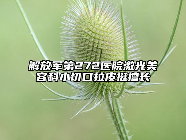 解放軍第272醫(yī)院激光美容科小切口拉皮挺擅長(zhǎng)