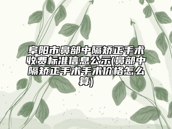 阜陽市鼻部中隔矯正手術(shù)收費標準信息公示(鼻部中隔矯正手術(shù)手術(shù)價格怎么算)