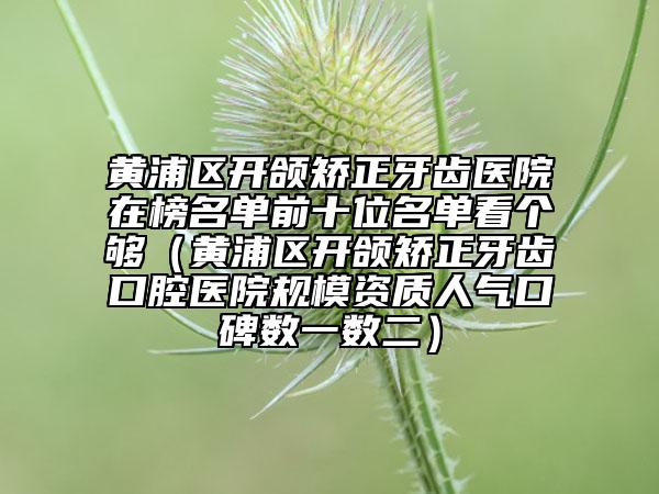 黃浦區(qū)開頜矯正牙齒醫(yī)院在榜名單前十位名單看個夠（黃浦區(qū)開頜矯正牙齒口腔醫(yī)院規(guī)模資質人氣口碑數(shù)一數(shù)二）