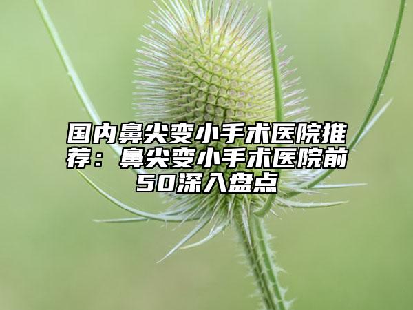 國內(nèi)鼻尖變小手術醫(yī)院推薦:鼻尖變小手術醫(yī)院前50深入盤點