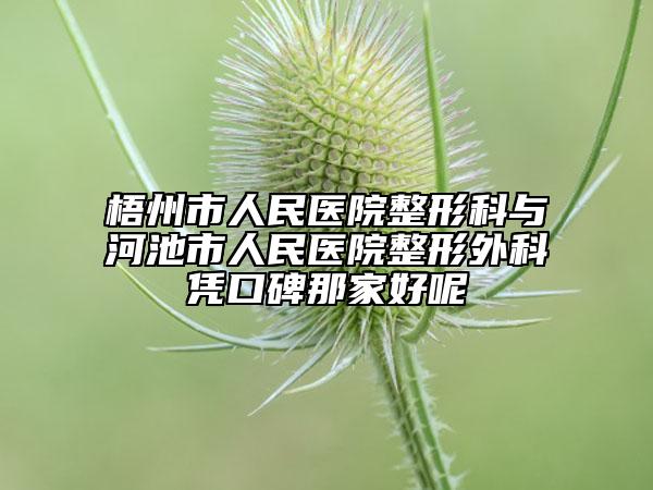 梧州市人民醫(yī)院整形科與河池市人民醫(yī)院整形外科憑口碑那家好呢