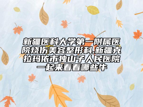 新疆醫(yī)科大學(xué)第一附屬醫(yī)院燒傷美容整形科,新疆克拉瑪依市獨(dú)山子人民醫(yī)院一起來看看哪些牛