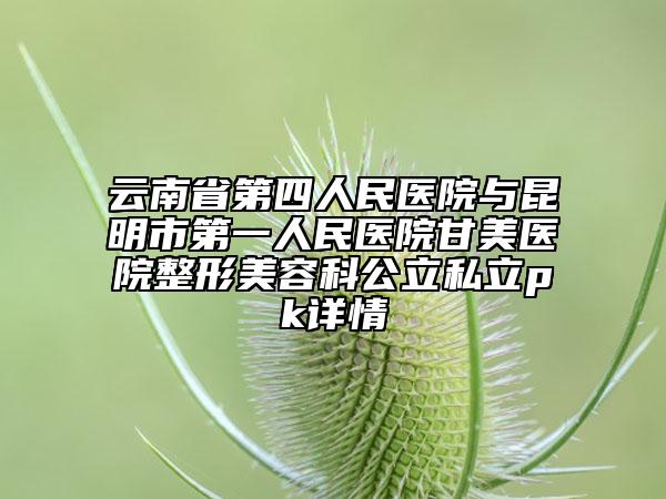 云南省第四人民醫(yī)院與昆明市第一人民醫(yī)院甘美醫(yī)院整形美容科公立私立pk詳情