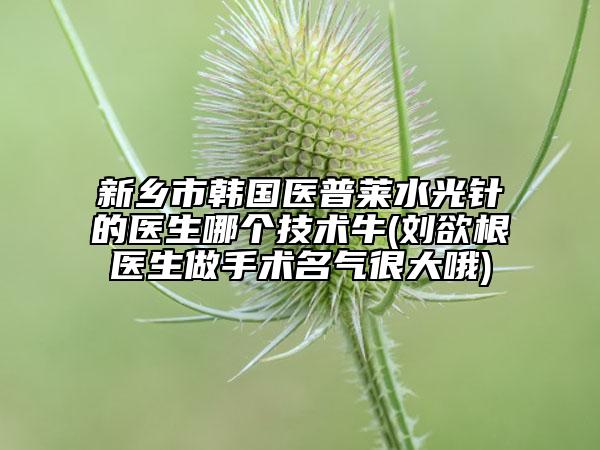 新鄉(xiāng)市韓國醫(yī)普萊水光針的醫(yī)生哪個技術(shù)牛(劉欲根醫(yī)生做手術(shù)名氣很大哦)