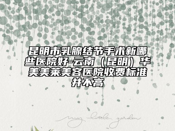昆明市乳腺結(jié)節(jié)手術(shù)新哪些醫(yī)院好-云南(昆明)華美美萊美容醫(yī)院收費(fèi)標(biāo)準(zhǔn)并不高