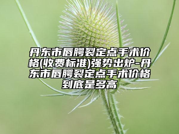 丹東市唇腭裂定點(diǎn)手術(shù)價(jià)格(收費(fèi)標(biāo)準(zhǔn))強(qiáng)勢(shì)出爐-丹東市唇腭裂定點(diǎn)手術(shù)價(jià)格到底是多高