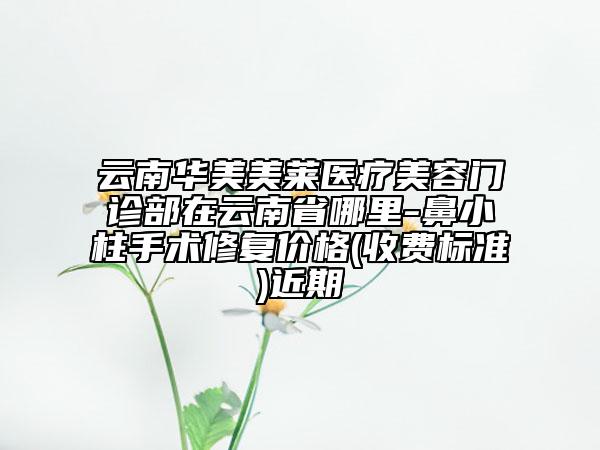 云南華美美萊醫(yī)療美容門診部在云南省哪里-鼻小柱手術(shù)修復(fù)價(jià)格(收費(fèi)標(biāo)準(zhǔn))近期