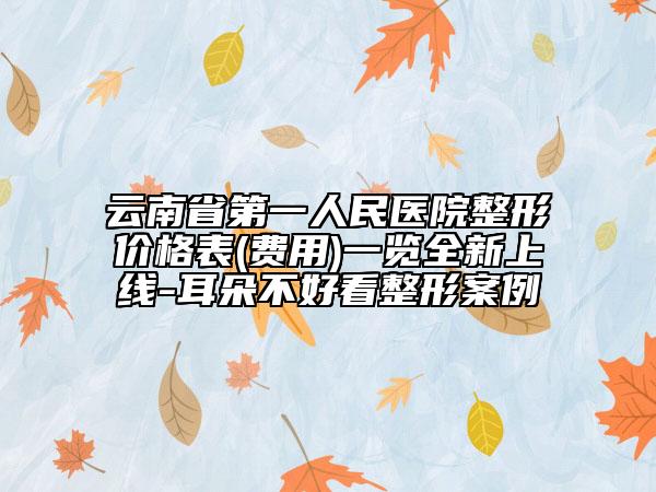 云南省第一人民醫(yī)院整形價格表(費用)一覽全新上線-耳朵不好看整形案例
