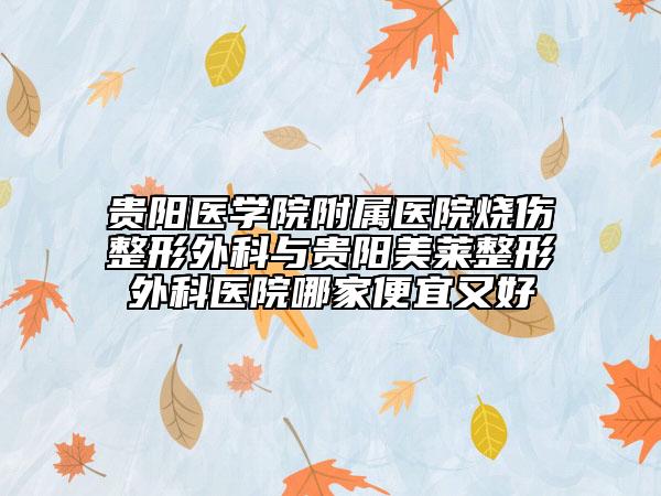 貴陽醫(yī)學(xué)院附屬醫(yī)院燒傷整形外科與貴陽美萊整形外科醫(yī)院哪家便宜又好