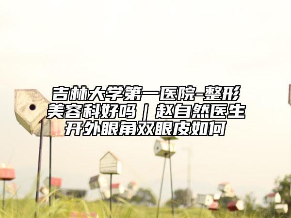 吉林大學(xué)第一醫(yī)院-整形美容科好嗎|趙自然醫(yī)生開外眼角雙眼皮如何