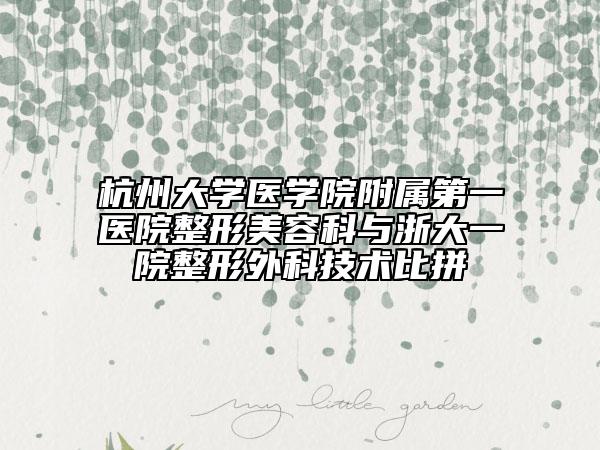 杭州大學醫(yī)學院附屬第一醫(yī)院整形美容科與浙大一院整形外科技術(shù)比拼