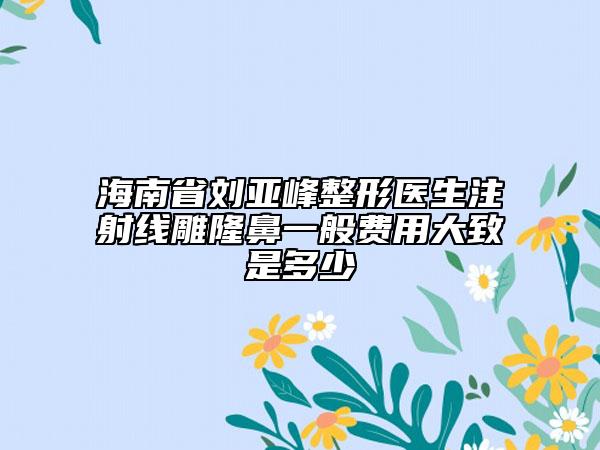 海南省劉亞峰整形醫(yī)生注射線雕隆鼻一般費(fèi)用大致是多少