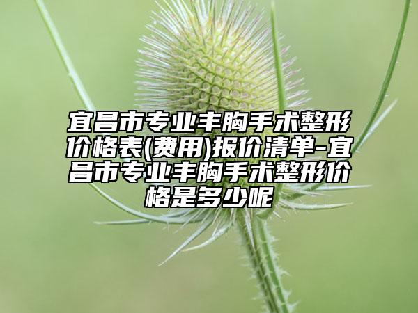 宜昌市專業(yè)豐胸手術(shù)整形價(jià)格表(費(fèi)用)報(bào)價(jià)清單-宜昌市專業(yè)豐胸手術(shù)整形價(jià)格是多少呢