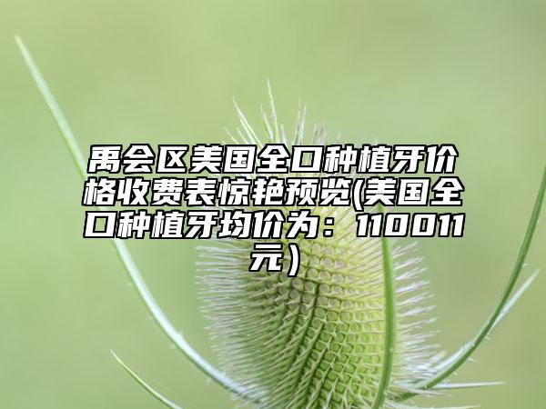 禹會(huì)區(qū)美國(guó)全口種植牙價(jià)格收費(fèi)表驚艷預(yù)覽(美國(guó)全口種植牙均價(jià)為：110011元）