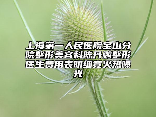 上海第一人民醫(yī)院寶山分院整形美容科陳丹鵬整形醫(yī)生費(fèi)用表明細(xì)竟火熱曝光