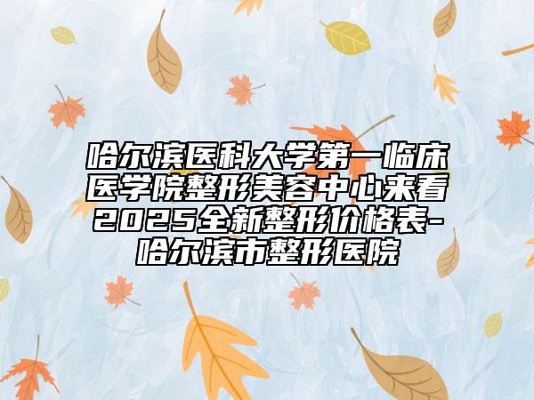 哈爾濱醫(yī)科大學(xué)第一臨床醫(yī)學(xué)院整形美容中心來看2025全新整形價(jià)格表-哈爾濱市整形醫(yī)院