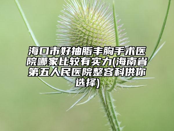 ?？谑泻贸橹S胸手術(shù)醫(yī)院哪家比較有實力(海南省第五人民醫(yī)院整容科供你選擇)