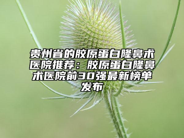 貴州省的膠原蛋白隆鼻術(shù)醫(yī)院推薦:膠原蛋白隆鼻術(shù)醫(yī)院前30強最新榜單發(fā)布
