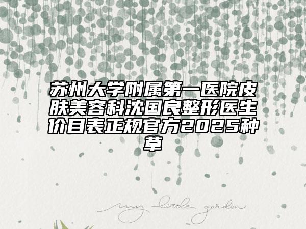蘇州大學(xué)附屬第一醫(yī)院皮膚美容科沈國良整形醫(yī)生價(jià)目表正規(guī)官方2025種草