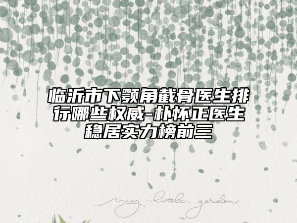 臨沂市下顎角截骨醫(yī)生排行哪些權(quán)威-樸懷正醫(yī)生穩(wěn)居實(shí)力榜前三