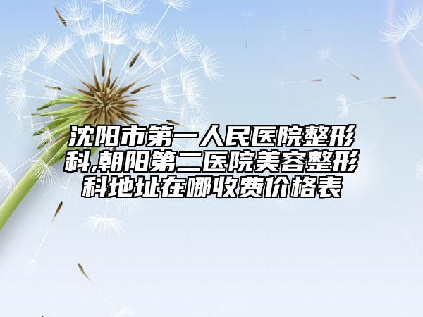 沈陽市第一人民醫(yī)院整形科,朝陽第二醫(yī)院美容整形科地址在哪收費(fèi)價格表
