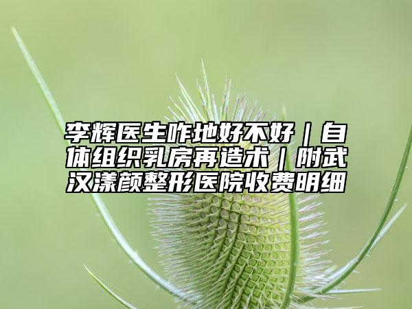 李輝醫(yī)生咋地好不好|自體組織乳房再造術(shù)|附武漢漾顏整形醫(yī)院收費(fèi)明細(xì)