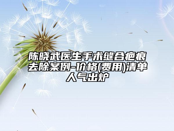 陳曉武醫(yī)生手術(shù)縫合疤痕去除案例-價格(費(fèi)用)清單人氣出爐