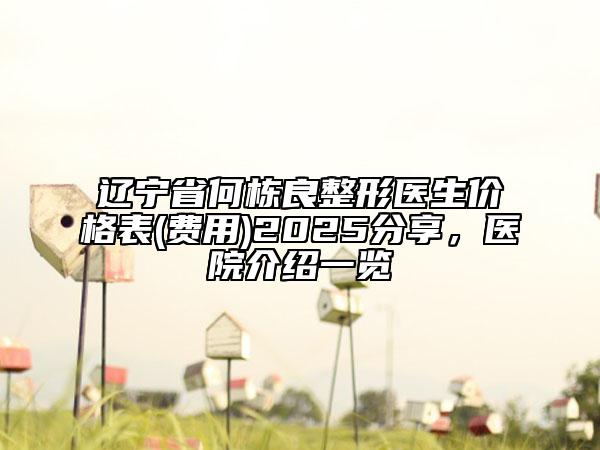 遼寧省何棟良整形醫(yī)生價格表(費用)2025分享，醫(yī)院介紹一覽
