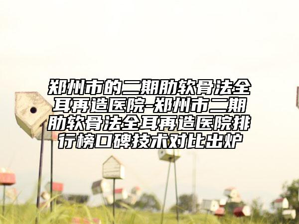 鄭州市的二期肋軟骨法全耳再造醫(yī)院-鄭州市二期肋軟骨法全耳再造醫(yī)院排行榜口碑技術(shù)對(duì)比出爐