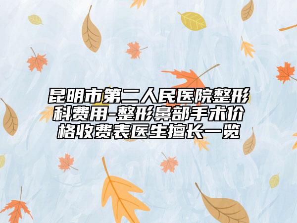 昆明市第二人民醫(yī)院整形科費用-整形鼻部手術(shù)價格收費表醫(yī)生擅長一覽