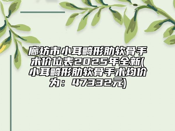 廊坊市小耳畸形肋軟骨手術(shù)價位表2025年全新(小耳畸形肋軟骨手術(shù)均價為：47332元)