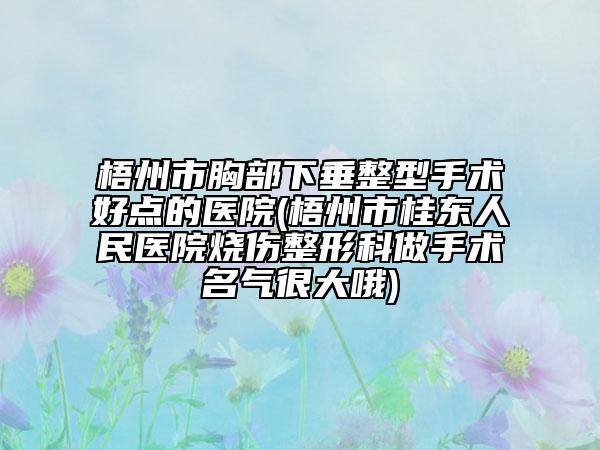 梧州市胸部下垂整型手術(shù)好點(diǎn)的醫(yī)院(梧州市桂東人民醫(yī)院燒傷整形科做手術(shù)名氣很大哦)