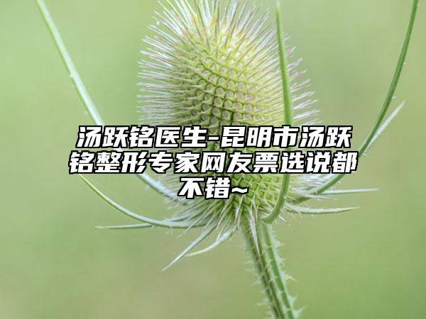 湯躍銘醫(yī)生-昆明市湯躍銘整形專家網(wǎng)友票選說都不錯(cuò)~