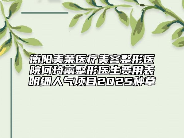 衡陽(yáng)美萊醫(yī)療美容整形醫(yī)院何琦蕾整形醫(yī)生費(fèi)用表明細(xì)人氣項(xiàng)目2025種草