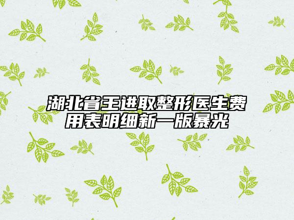 湖北省王進取整形醫(yī)生費用表明細新一版暴光